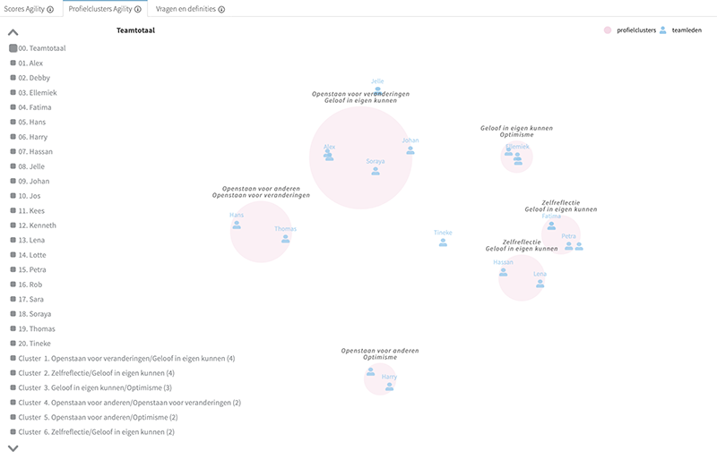 profielclusters-agility_1 (2)