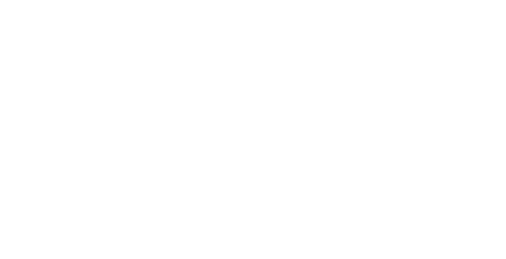 Schiphol wit